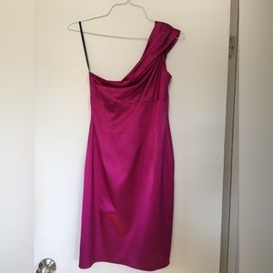 Fuchsia David Meister one stamp satin dress